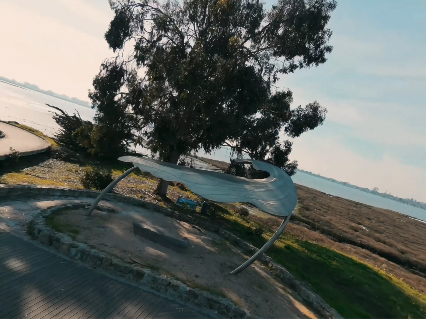 Aerial shoreline view
